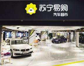 天能集團與蘇寧達成合作 將設(shè)電動車服務(wù)站